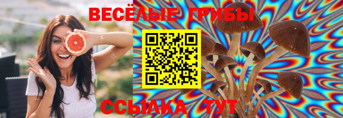 Галлюциногенные грибы мицелий Амурск