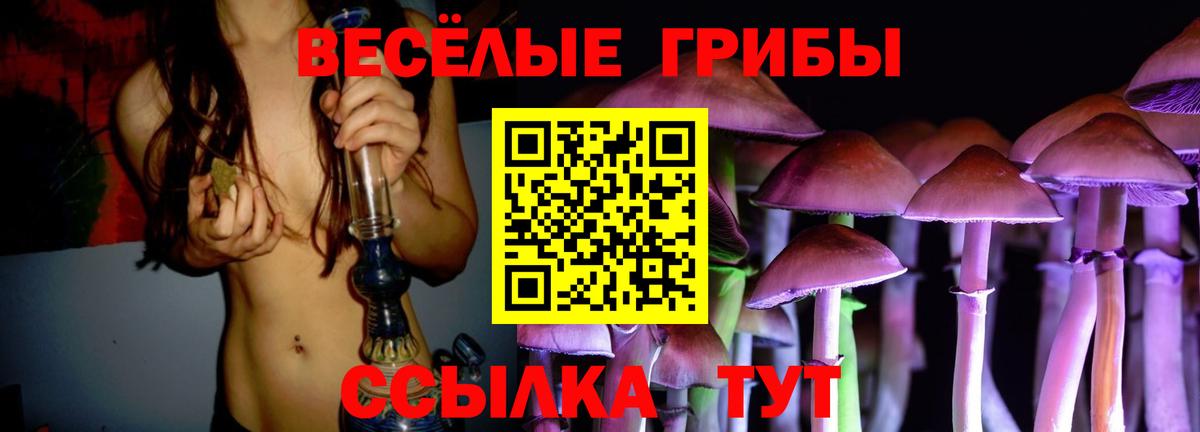 Галлюциногенные грибы Psilocybine cubensis  Вход с VPN  Амурск 