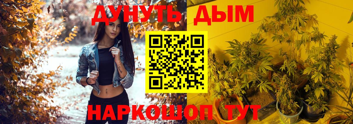 Канабис сатива  Конопля AK-47  Вход с VPN  Амурск  МАРИХУАНА Ganja 